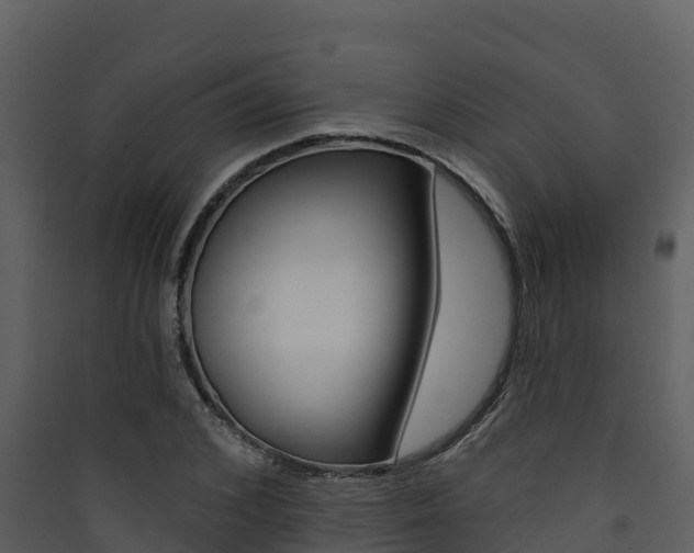 X0000090420976200707130943