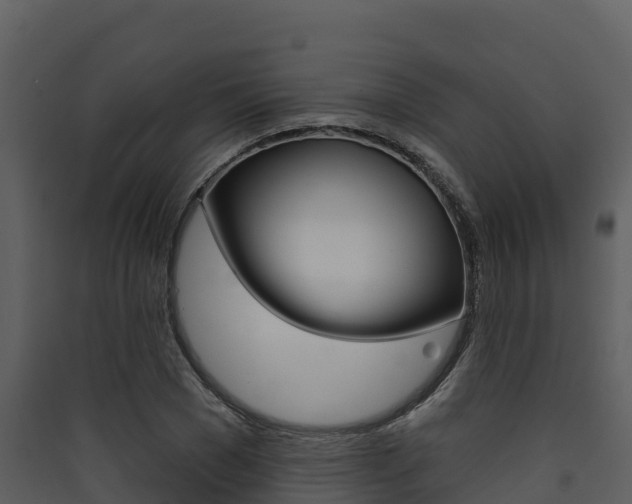 X0000090420977200707130943