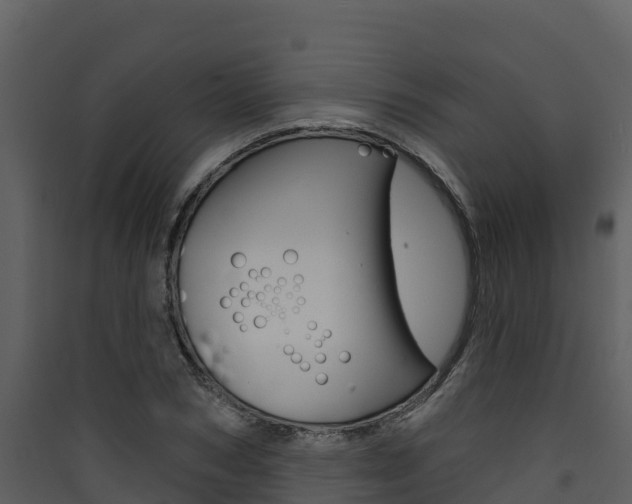 X0000090420978200707130943