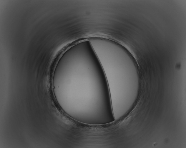 X0000090420979200707130943