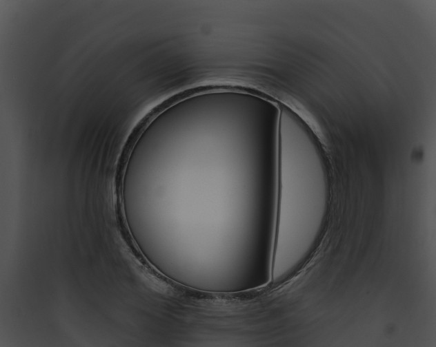 X0000090420980200707130943