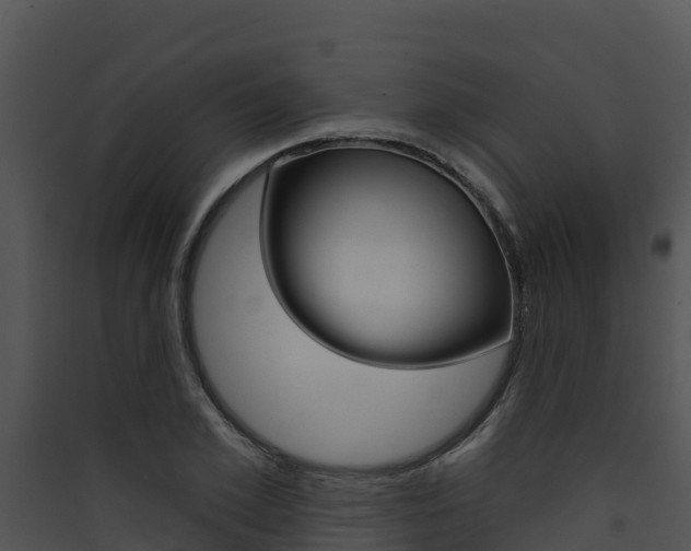 X0000090420981200707130943