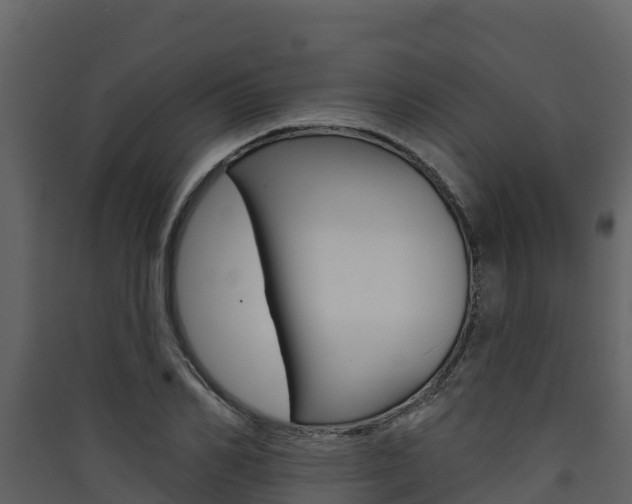 X0000090420982200707130943