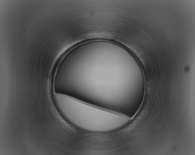 X0000090420983200707130943
