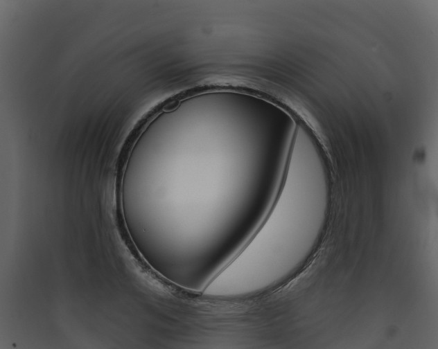 X0000090420984200707130943