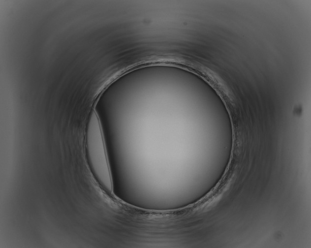 X0000090420985200707130943