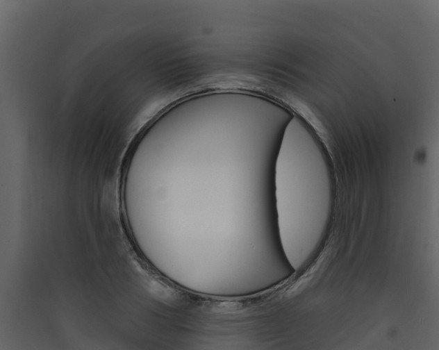 X0000090420986200707130943
