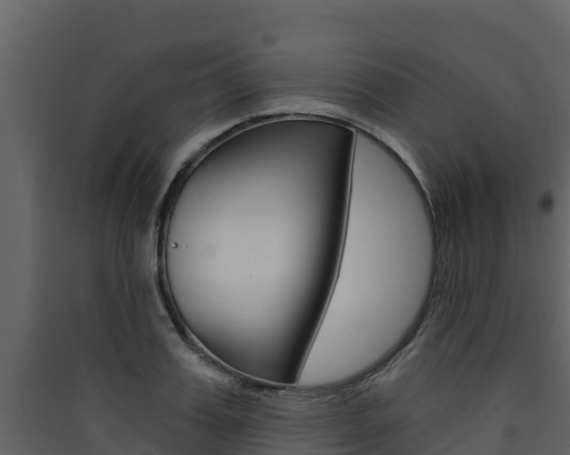 X0000090420987200707130943