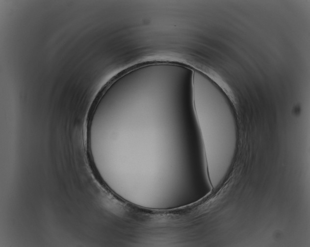 X0000090420988200707130943