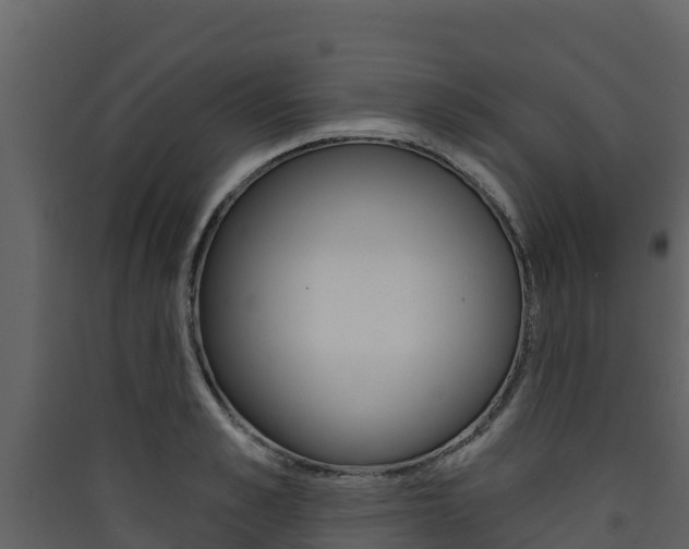 X0000090420989200707130943