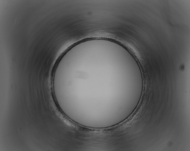 X0000090420990200707130943