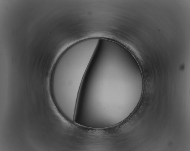 X0000090420991200707130943