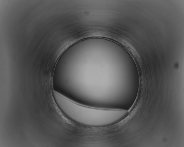 X0000090420993200707130943