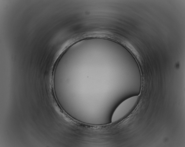 X0000090420994200707130943