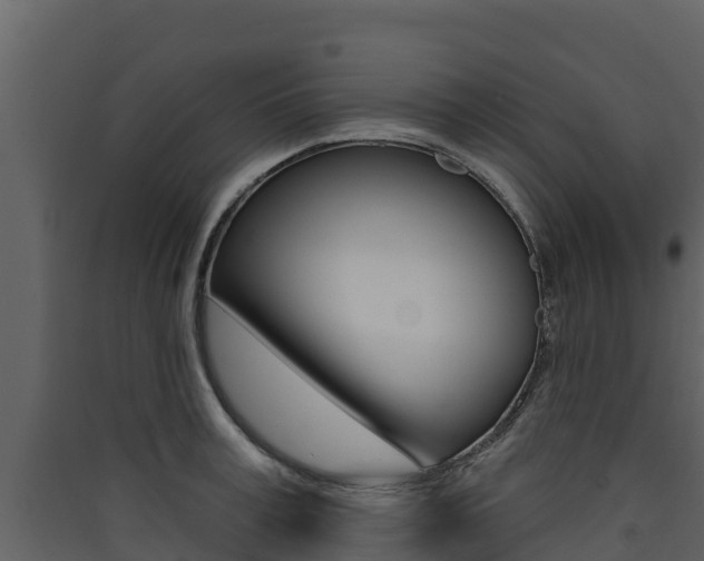 X0000090420995200707130943