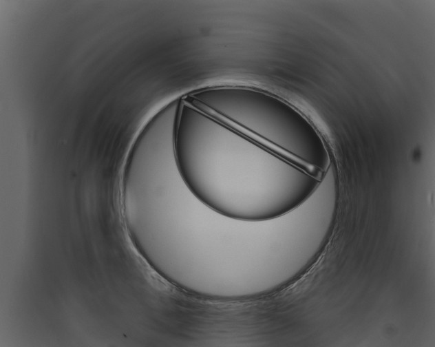 X0000090420996200707130942