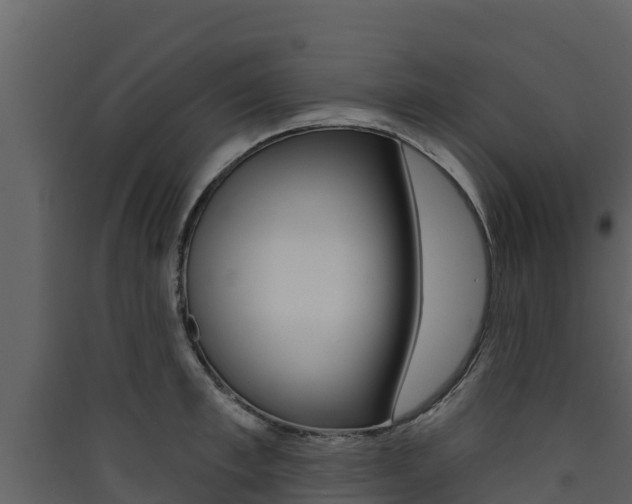 X0000090420997200707130942