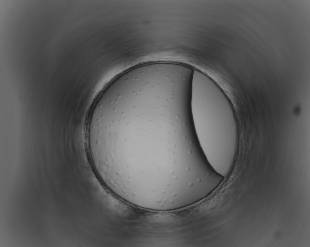 X0000090420998200707130942