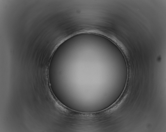 X0000090421001200707130942