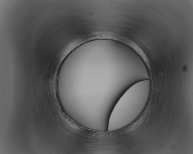 X0000090421002200707130942