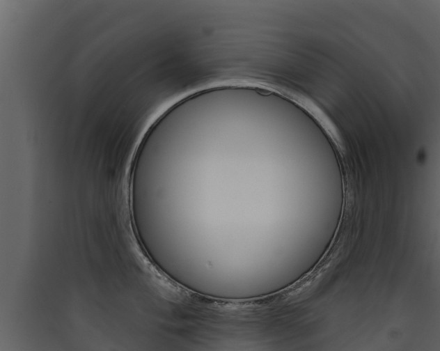 X0000090421004200707130942