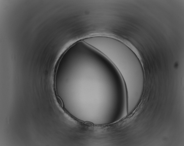 X0000090421005200707130942