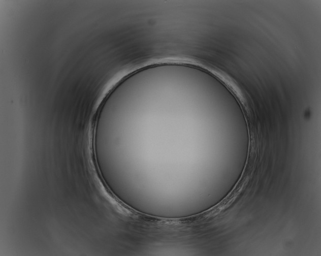 X0000090421006200707130942