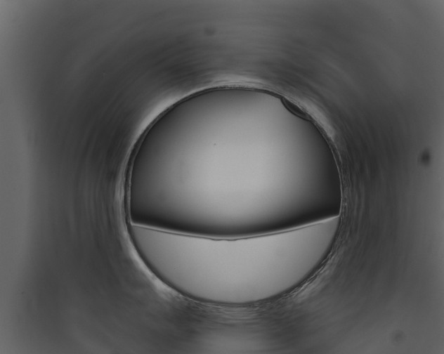 X0000090421007200707130942