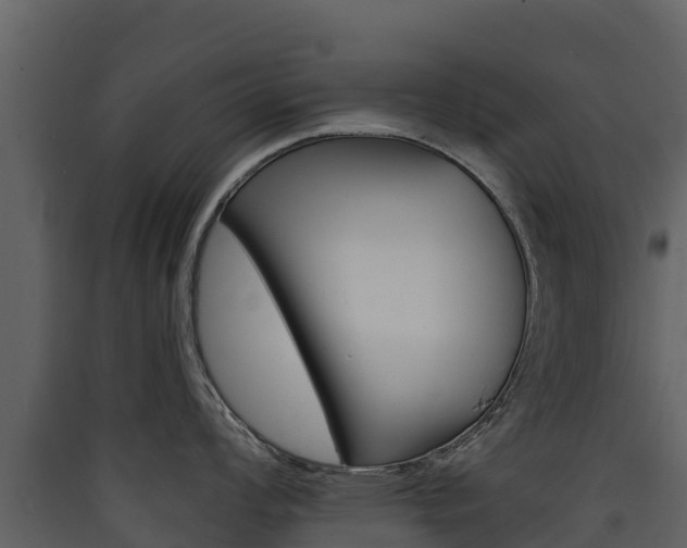 X0000090421008200707130942
