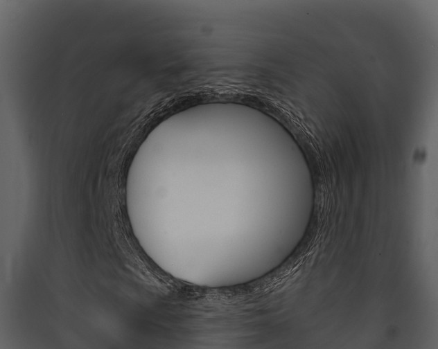 X0000090421009200707130942