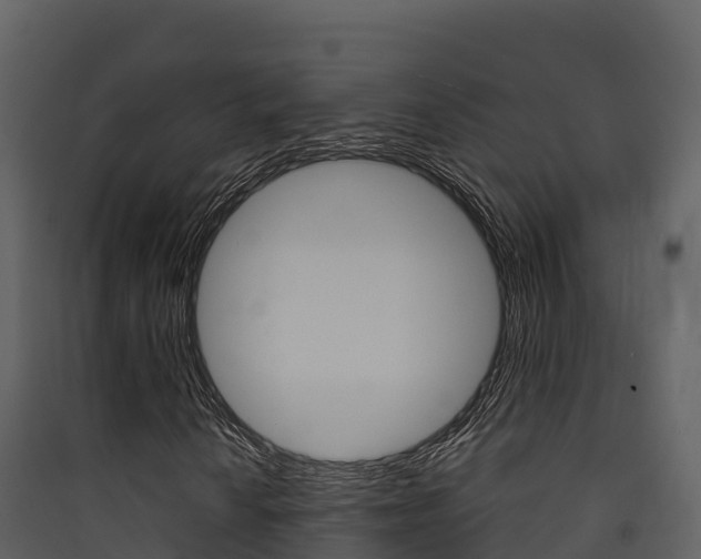 X0000090421010200707130942