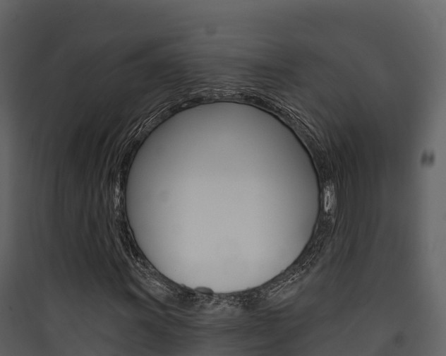 X0000090421011200707130942