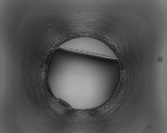 X0000090421012200707130942