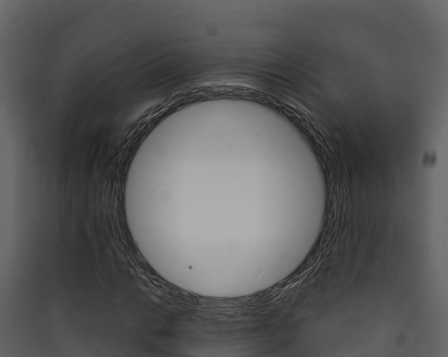 X0000090421014200707130942