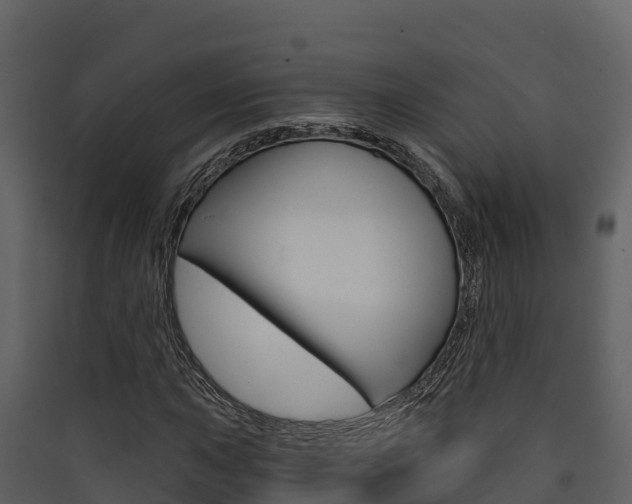 X0000090421015200707130942