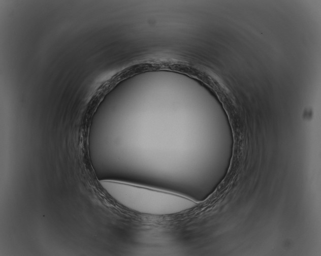 X0000090421016200707130942