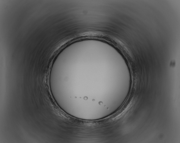 X0000090421017200707130942