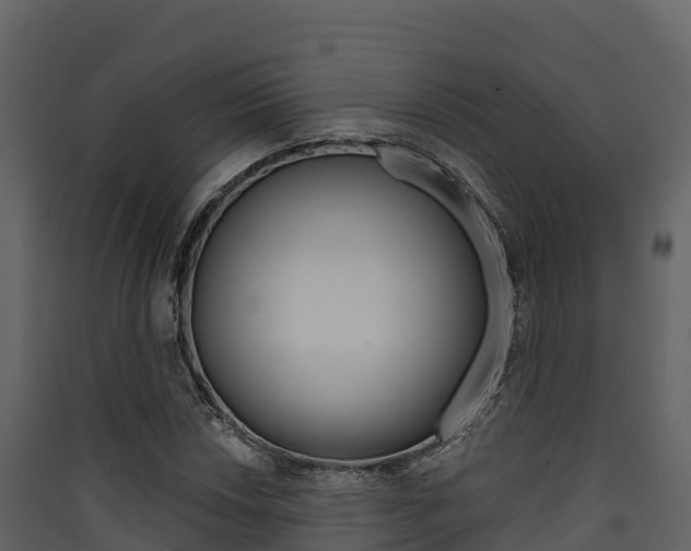 X0000090421018200707130942