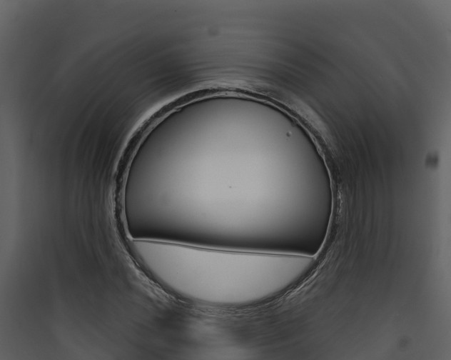 X0000090421020200707130942
