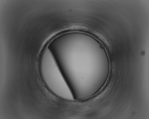 X0000090421021200707130942