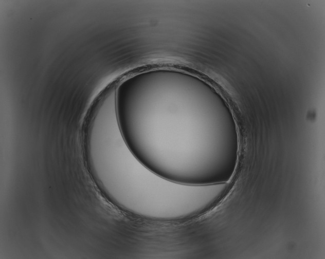 X0000090421022200707130942