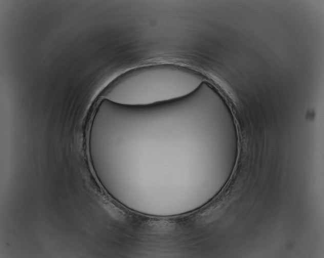 X0000090421023200707130942