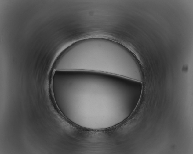X0000090421024200707130942