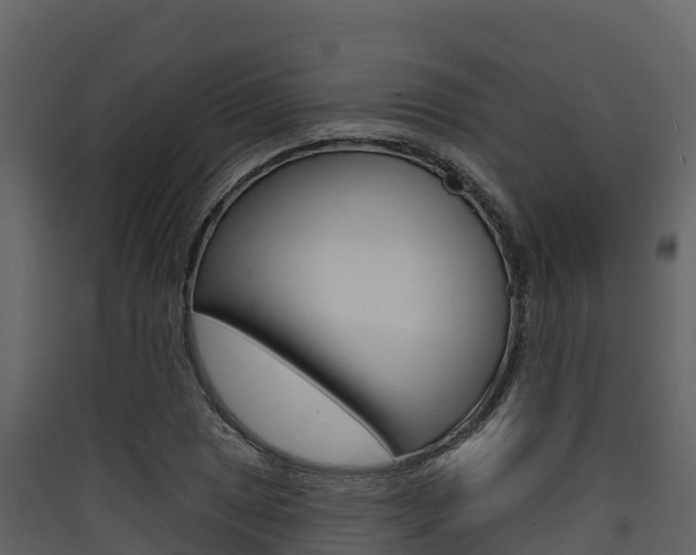 X0000090421025200707130942