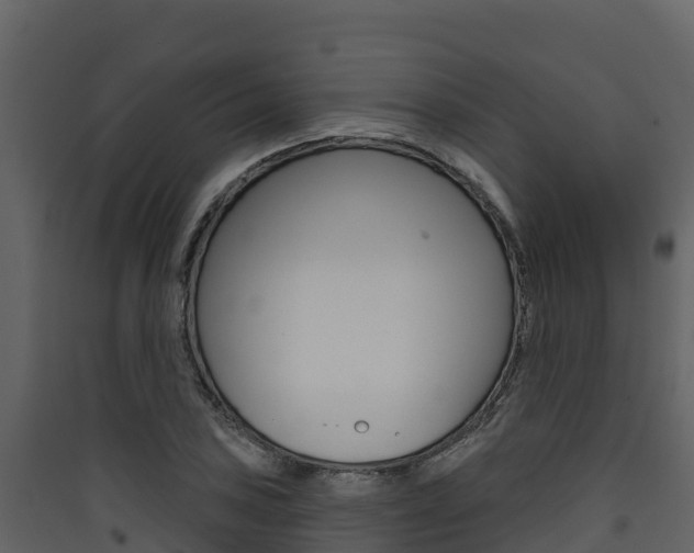 X0000090421027200707130942