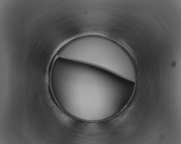 X0000090421028200707130942
