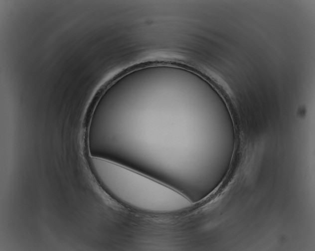 X0000090421029200707130942