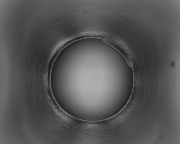X0000090421030200707130942