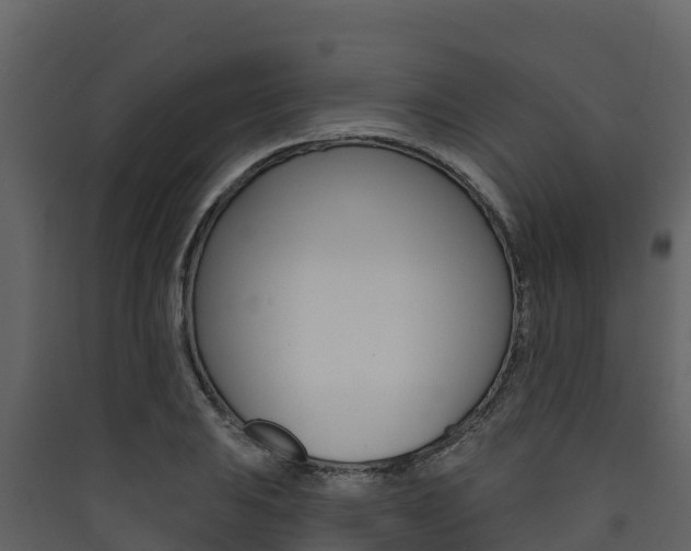 X0000090421031200707130942