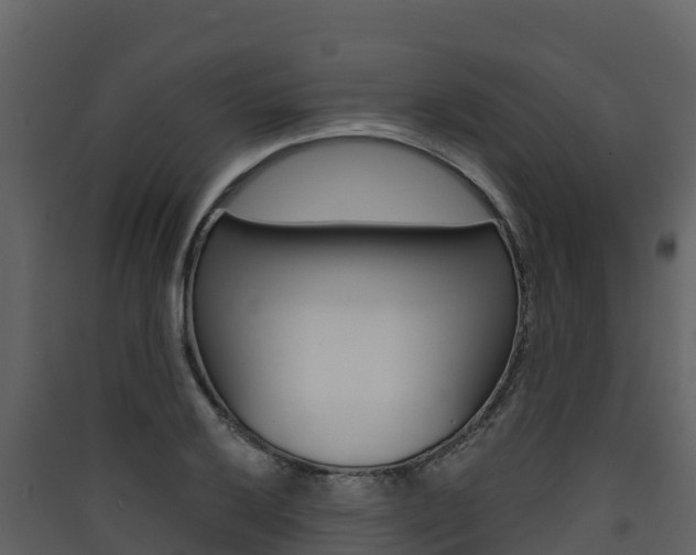 X0000090421032200707130942
